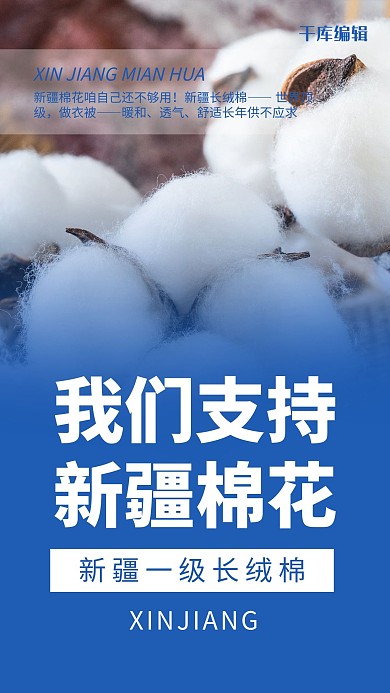 新疆棉花棉花蓝色简约风海报