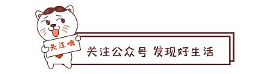 微信公众号猫咪关注哦