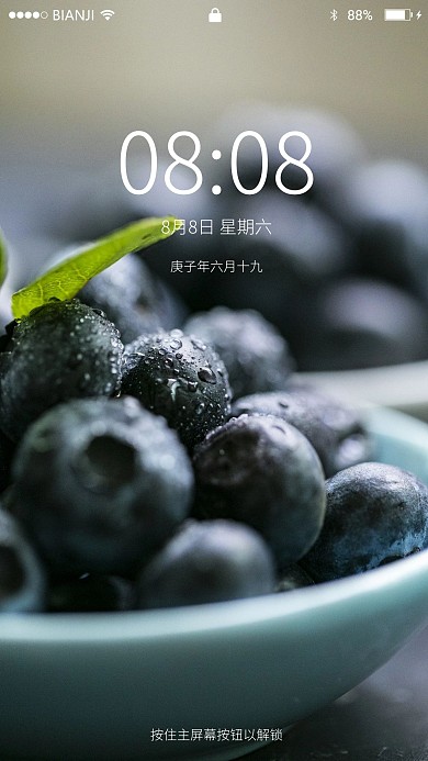 蓝莓实拍壁纸