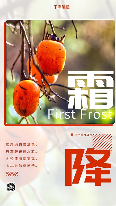 霜降节气柿子白色简约海报