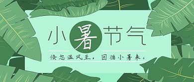 小暑节气芭蕉叶绿色森系公众号首图