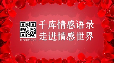 情感花瓣红色唯美关注二维码
