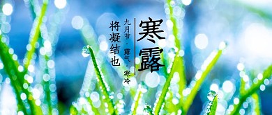 寒露露珠绿色摄影公众号首图