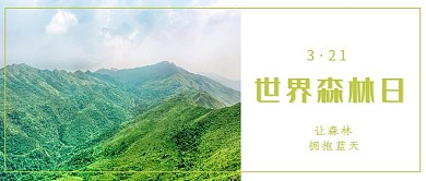 世界森林日摄影风森林绿色摄影风公众号首图