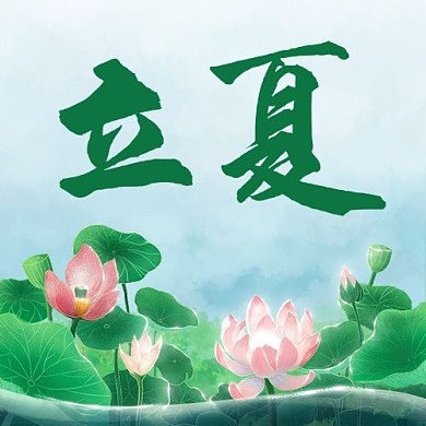 立夏荷花绿色中国风公众号次图