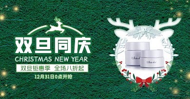 双旦面霜绿色简约海报