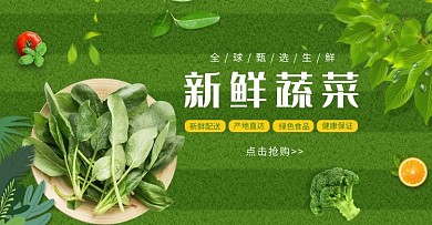 新鲜食品蔬菜绿色小清新电商banner