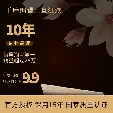  电商淘宝元旦五金电器插座开关黑色主图
