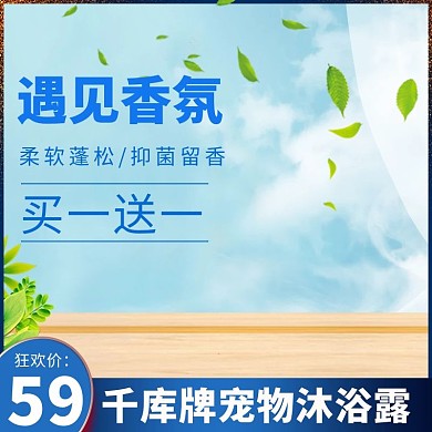 双十一宠物用品电商淘宝天猫直通车