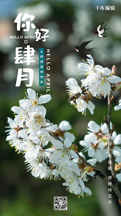 你好肆月樱花白色简约手机海报