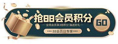 节日大促 狂欢 优惠券 促销胶囊图banner