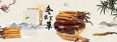 中国风冬虫夏草淘宝养生食品保健品全屏海报