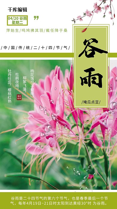 谷雨植物花枝绿色简约海报