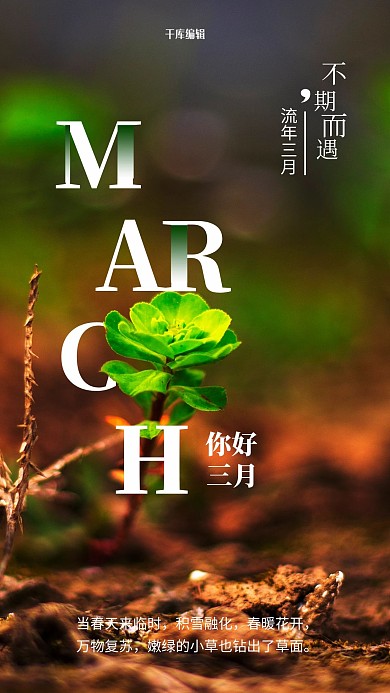 三月你好植物绿色摄影海报
