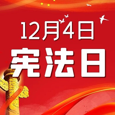 宪法日公众号次图 鸽子红色简洁公众号次图