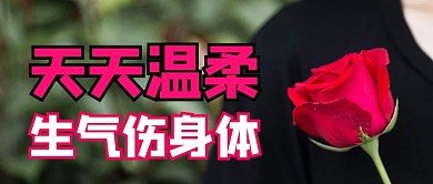 不生气鲜花红色老年风公众号首图