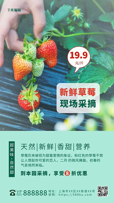 新鲜草莓现场采摘绿色摄影图海报