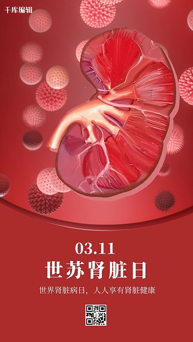 世界肾脏日肾脏红色创意海报