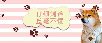 表情包 趣味创意柴犬粉色趣味创意公众号首图
