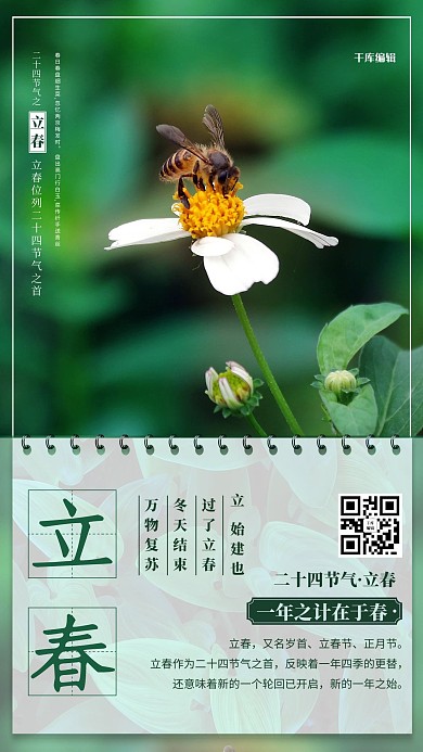 立春花绿色摄影海报