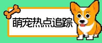 像素风柯基绿色公众号首图