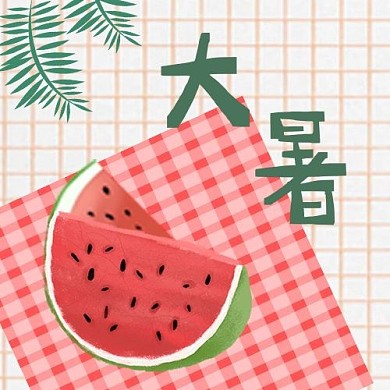 24节气夏天大暑西瓜红色简约网格公众号次图