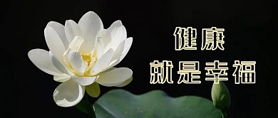 老年表情包莲花白色清新淡雅公众号首图