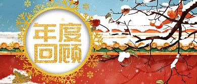 年度回顾