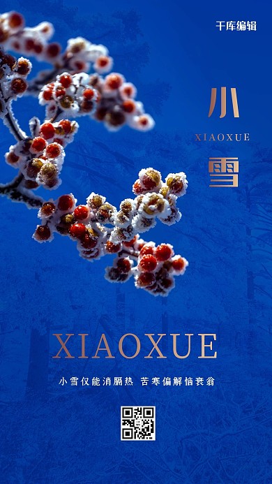 小雪树枝蓝色创意海报