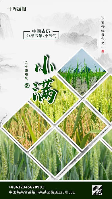 小满麦田绿色简约海报