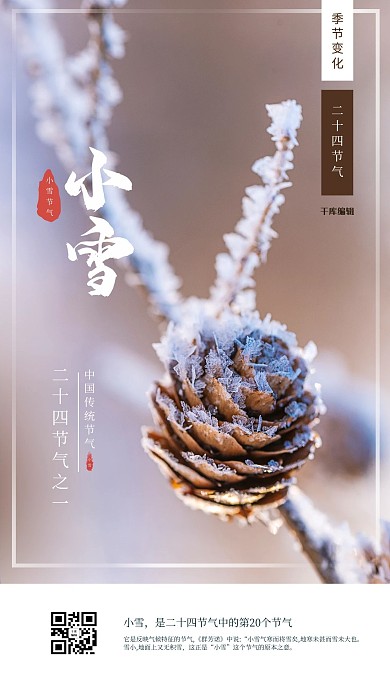 千库编辑原创小雪雪落植物暖色简约海报