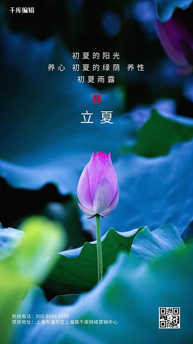 立夏荷花蓝色写实海报