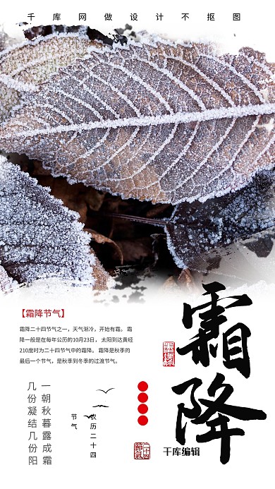 霜降简约雪景二十四节气海报