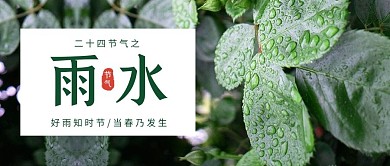 雨水绿叶雨水绿色简约风公众号首图