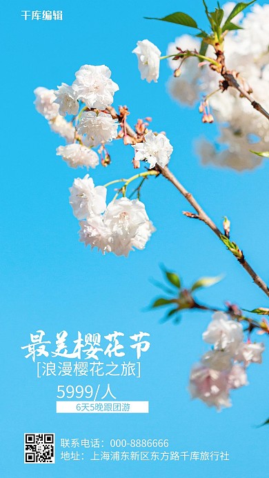 樱花季最美樱花节蓝色摄影写实手机海报