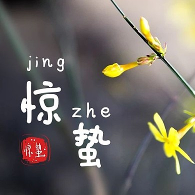 夏至荷叶绿色简约公众号次图