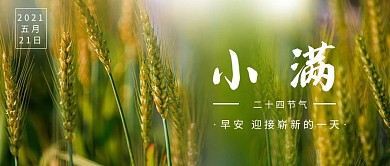 二十四节气小满水稻绿色摄影风公众号首图