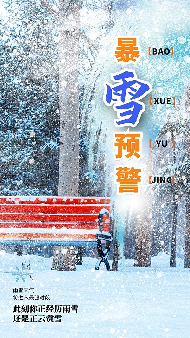 暴雪预警大雪红色摄影海报