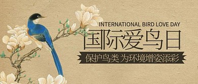 国际爱鸟日保护鸟类彩色卡通公众号首图