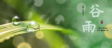 谷雨谷雨绿色简约公众号首图