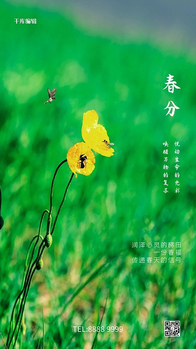 春分花绿色写实海报