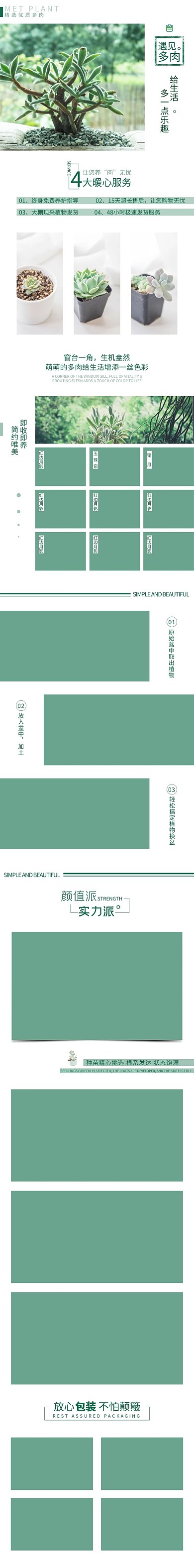 绿色小清新多肉电商详情页