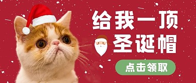 萌宠猫咪圣诞帽红色可爱公众号首图