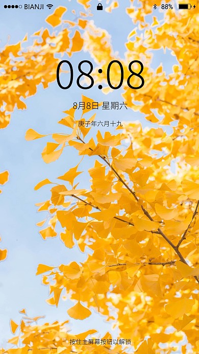 蓝天下枫叶摄影图手机壁纸