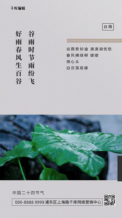 谷雨荷叶灰色创意海报