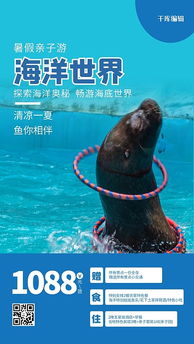 海洋世界海豹蓝色调简约风格海报