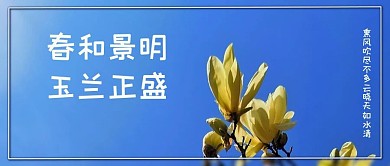 天空玉兰花蓝色清新干净公众号首图