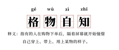 双十一格物自知网络热词白色趣味公众号首图
