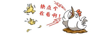 小鸟新媒体引导在看