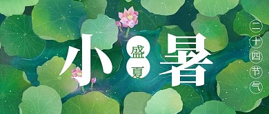 小暑节气荷花 荷塘绿色红色插画公众号首图